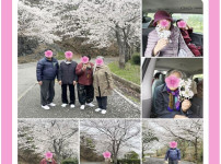 2026.03.31 아웃팅 (덕동 꽃길 나들이)