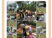 2025.09.17 원예요법