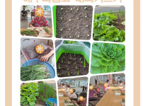 2025.10.29 원예요법